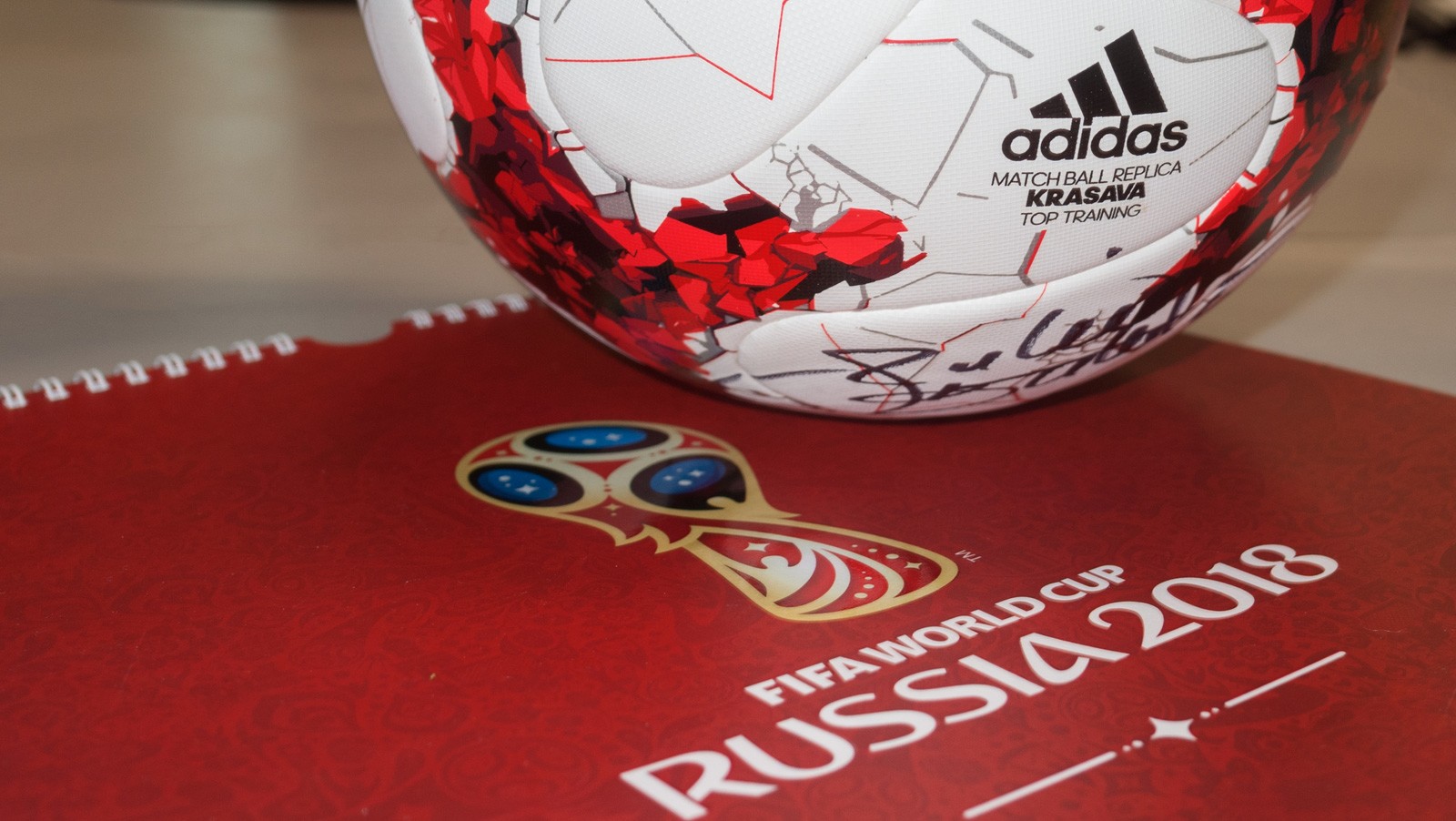 cup qualification world africa 2006 including qualification Cup seal Review: 15 World
